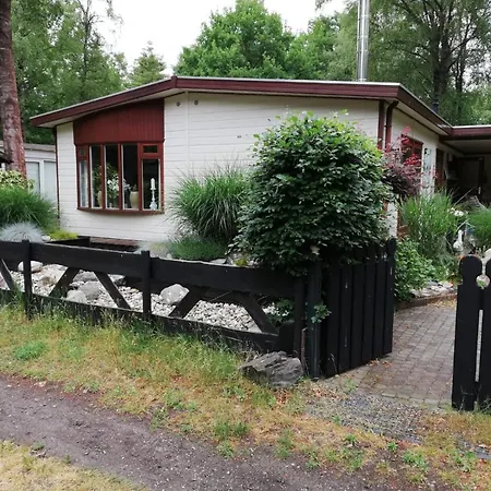 Sfeervol, Ruim En Luxe Chalet In Bosrijke Omgeving *